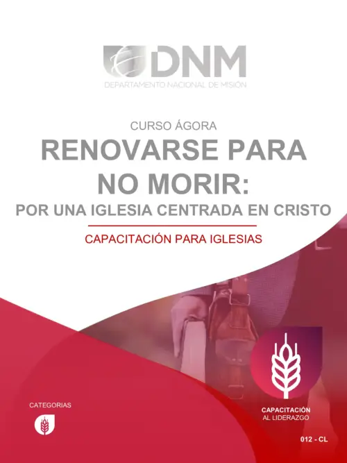 Renovarse para no morir. Por una iglesia centrada en Cristo